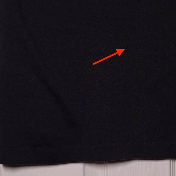 VINTAGE Harley-Davidson Motorcycles The EAGLE Prowls USED Shirt (DISTRESSED) - Picture 8 of 8